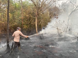 Peleton 2 Siaga Karhutla Bersama Satgas Berhasil Padamkan Kebakaran di Desa Tanjung Lay