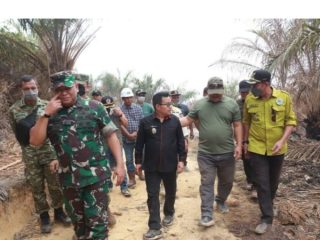 Wakil Bupati Melawi Bersama Tim Satgas Mabes TNI Meninjau Karhutla di Lokasi Perkebunan Kelapa Sawit PT.Citra Mahkota